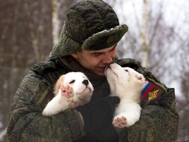 Rosyjski MON składa osobliwe życzenia. Pokazano rozkoszne szczeniaki...
